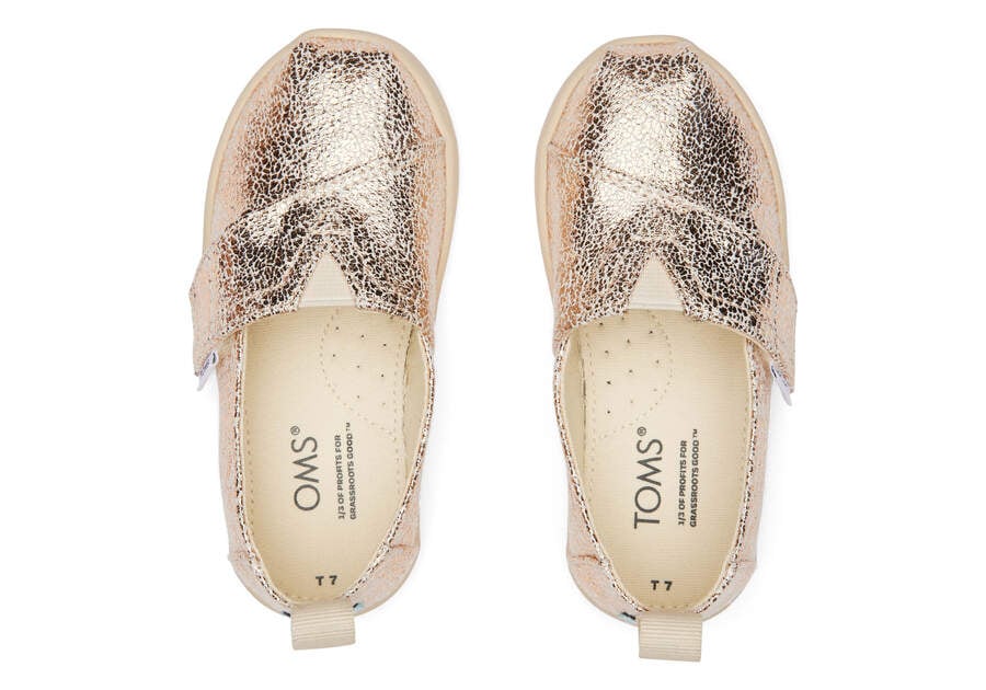 Toms Toddler Shoe