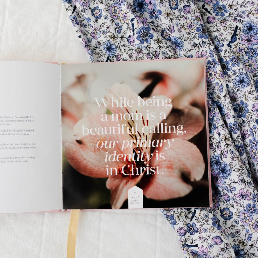 Steadfast Motherhood- 60 Days of Abiding in Christ