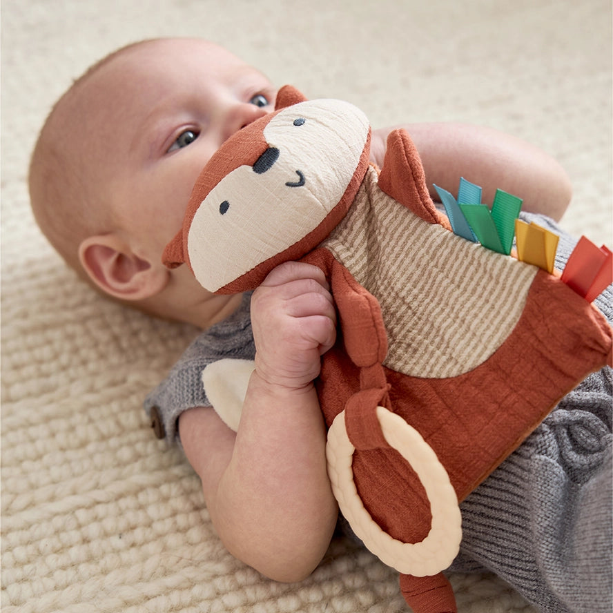 Crinkle Sensory Toy with Teether - 2 Options