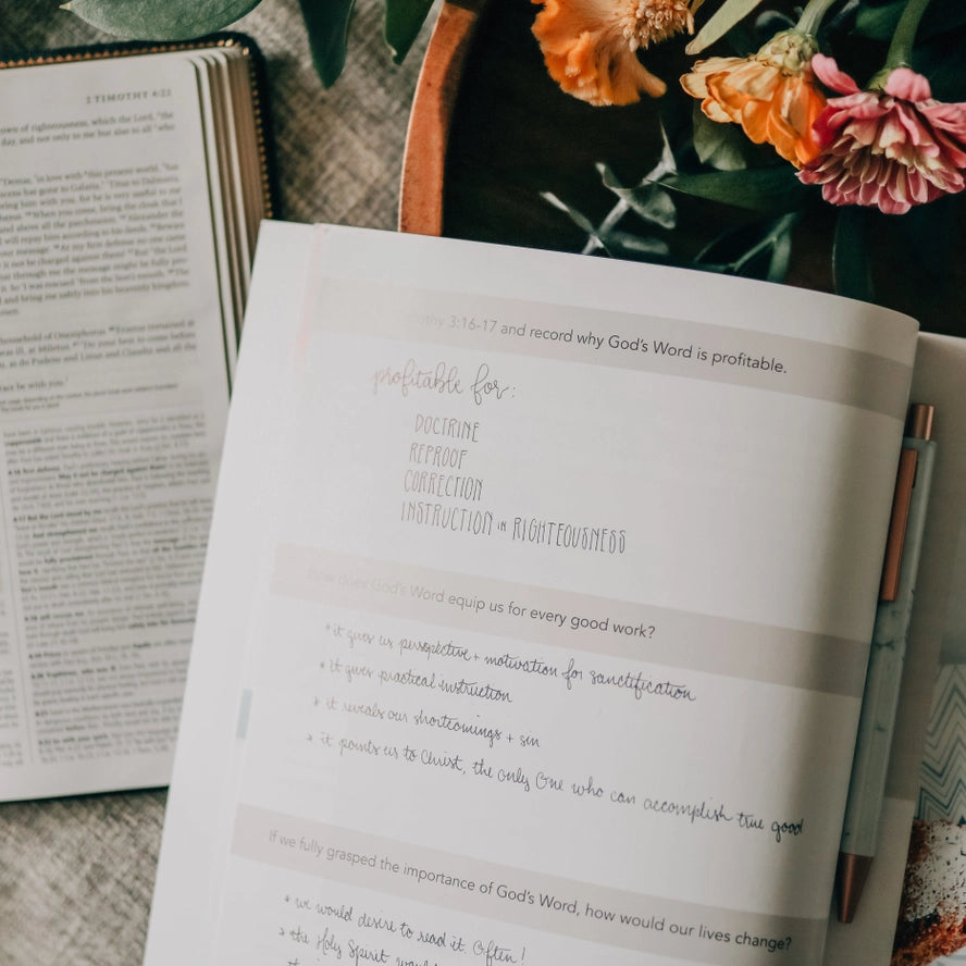 Amen | 5 Week Study | the Story of Scripture from Eden To Eternity