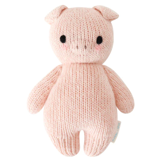Cuddle and Kind Baby Piglet