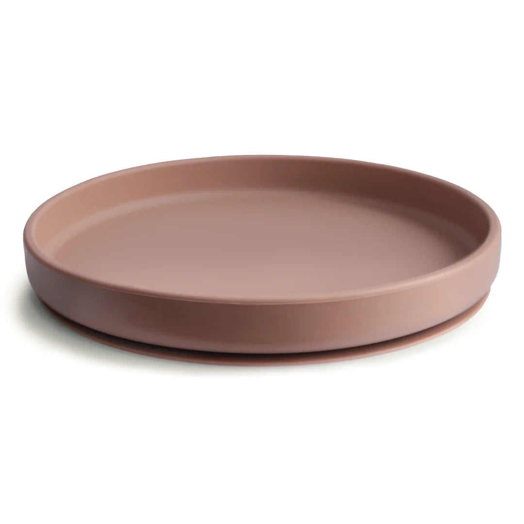 Silicone Suction Plate