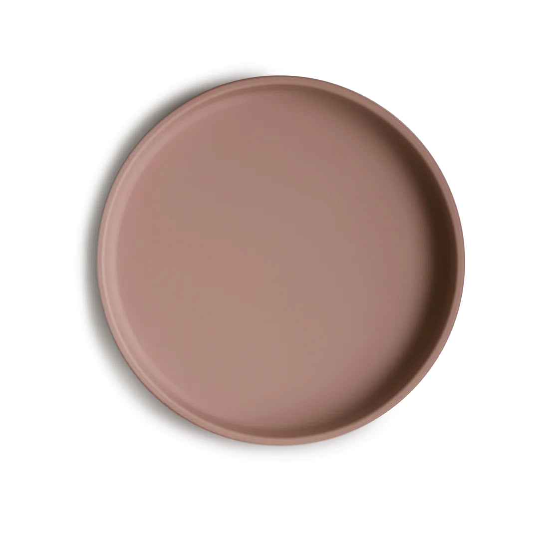 Silicone Suction Plate