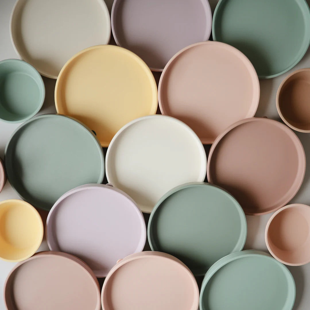 Silicone Suction Plate