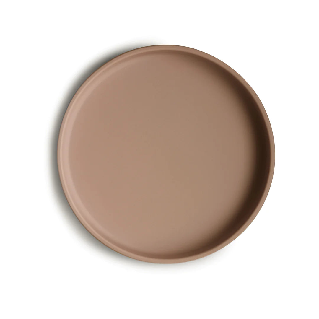 Silicone Suction Plate