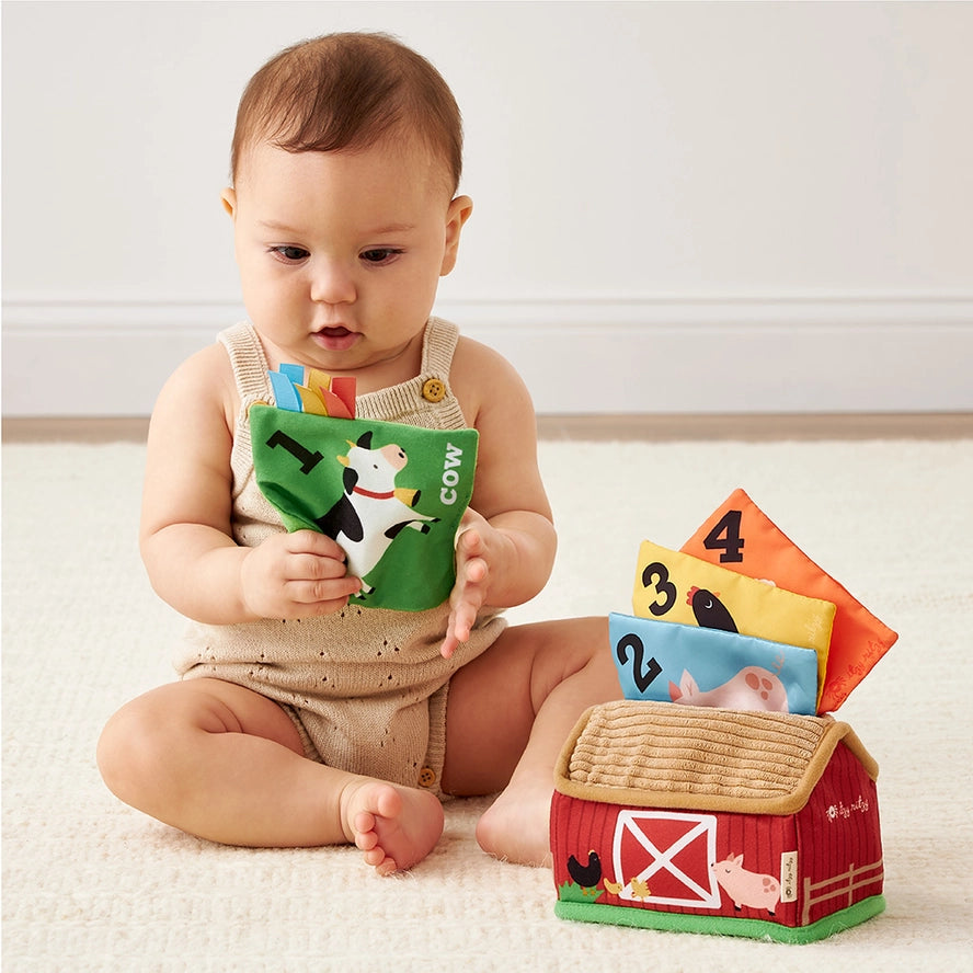 Itzy Sensory Barn Toy