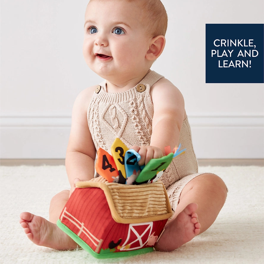 Itzy Sensory Barn Toy