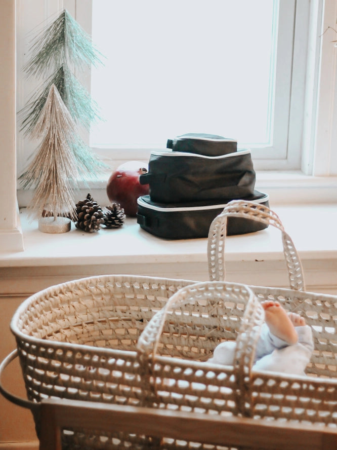 Diaper Bag Packing Cubes