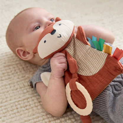 Crinkle Sensory Toy with Teether - 2 Options
