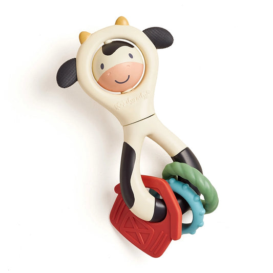 Itzy Spinner Rattle Toy