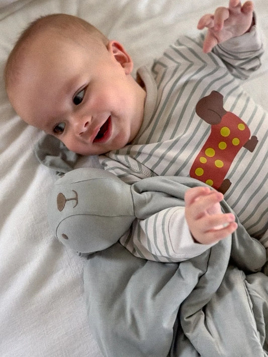 Grey bunny Lovey