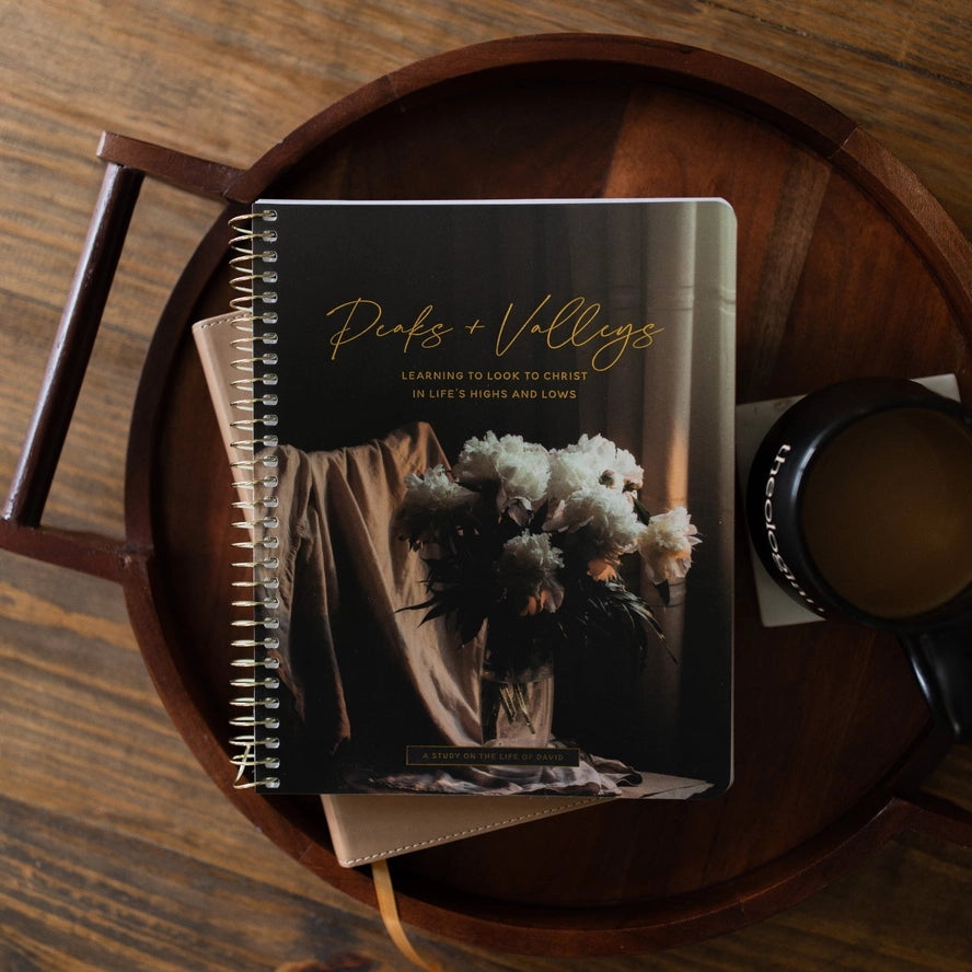 Peaks and valleys Christian devotional workbook 