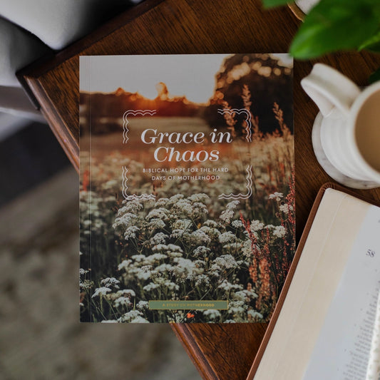 Grace in Chaos- Biblical Hope for the Hard Days of Motherhood