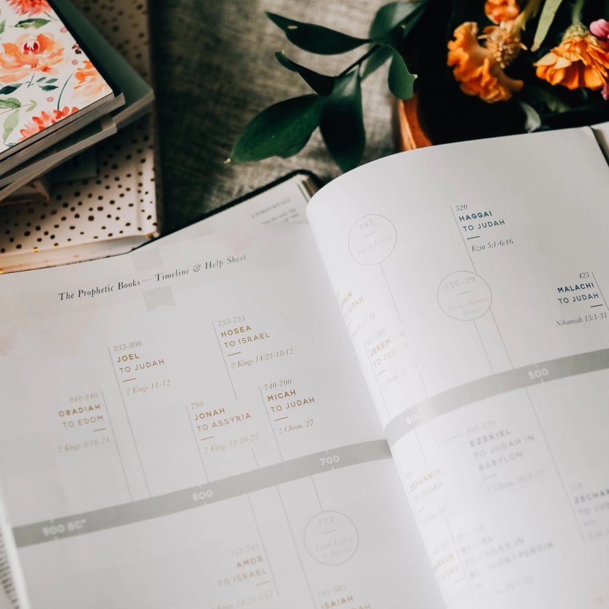 Amen | 5 Week Study | the Story of Scripture from Eden To Eternity
