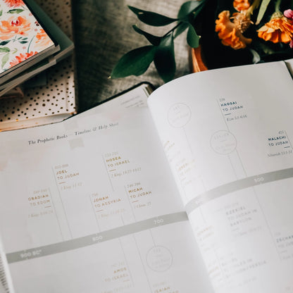 Amen | 5 Week Study | the Story of Scripture from Eden To Eternity