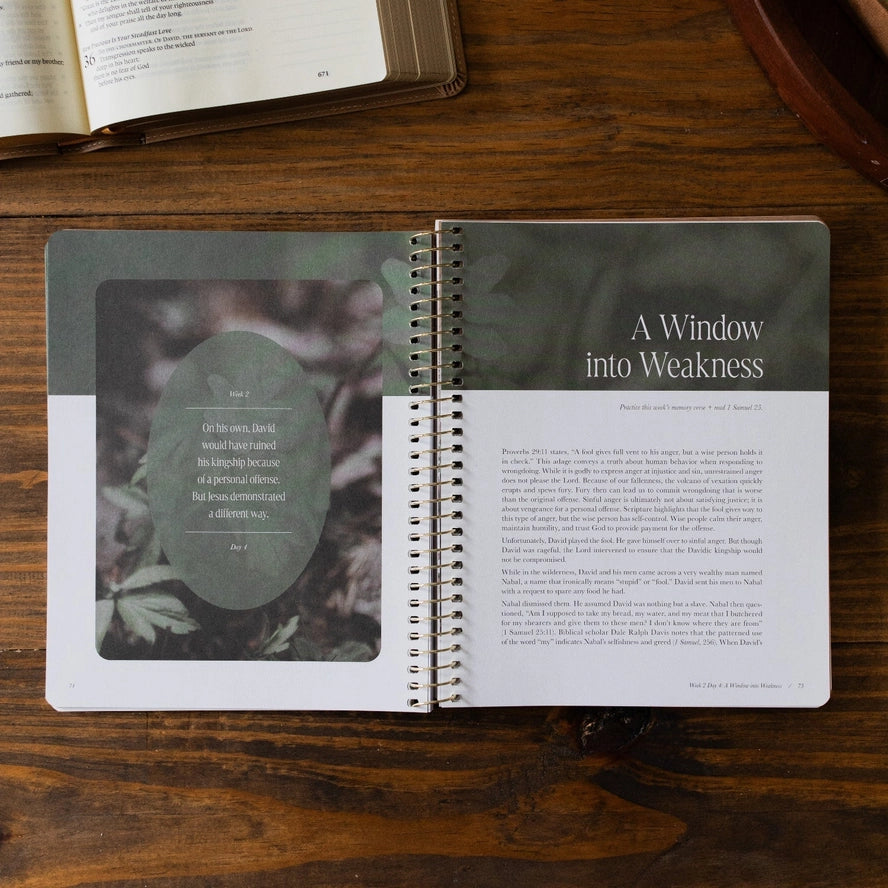 Peaks and valleys Christian devotional workbook 