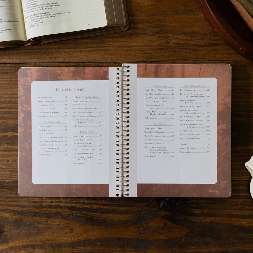 Peaks and valleys Christian devotional workbook 